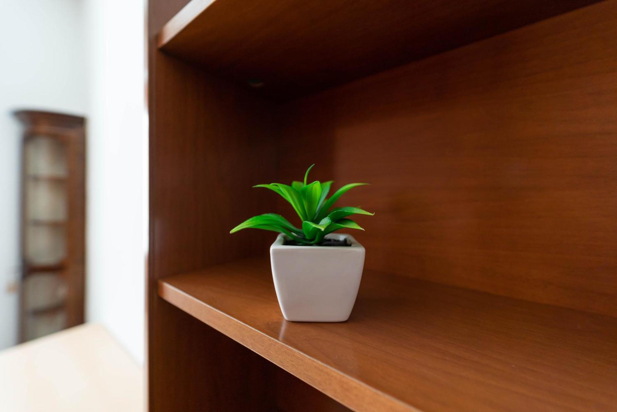 Appartement Lilla *